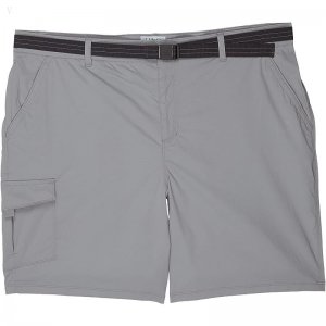 L.L.Bean Plus Size Tropicwear Shorts Frost Gray ID-cm10fV4u