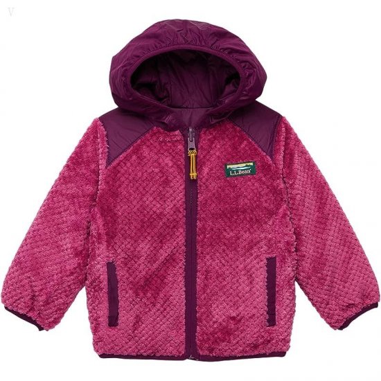 L.L.Bean Mountain Bound Reversible Hooded Jacket (Infant) Plum Grape/Magenta Haze ID-tbnvadUj