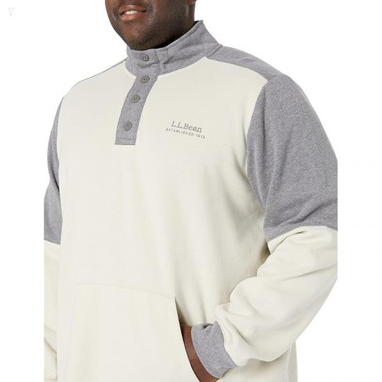 L.L.Bean 1912 Sweatshirt Button Mock Color-Block - Tall Silver Birch/Gray Heather ID-rAk0NASs