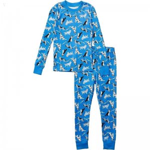 L.L.Bean Organic Cotton Fitted Pajamas (Little Kids) Light Ocean Dog ID-mhmuFibC