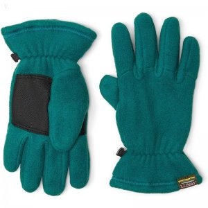 L.L.Bean Mountain Classic Fleece Gloves Warm Teal ID-vPJ0p9Z7