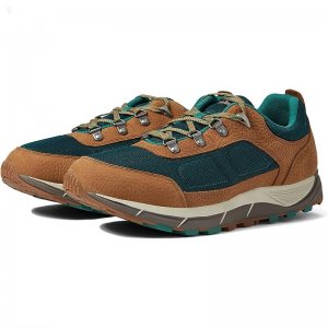 L.L.Bean Mountain Classic Hiker Ventilated Toasted Coconut/Deepest Green ID-9GtPpQut