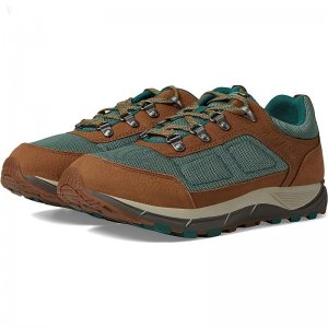 L.L.Bean Mountain Classic Hiker Low Toasted Coconut/Light Everglade ID-G72sykCw