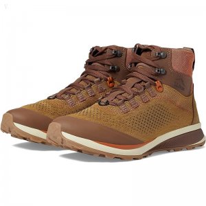 L.L.Bean Elevation Trail Boot Water Resistant Saddle/Dark Cocoa/Russet Clay ID-0asyVU2D