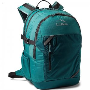 L.L.Bean 42 L Comfort Carry Portable Locker Rustic Green/Dark Pine ID-03yi5Jkd