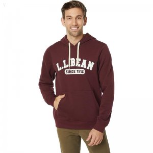 L.L.Bean 1912 Sweatshirt Hooded Logo Deep Wine ID-pgz2Cd4A