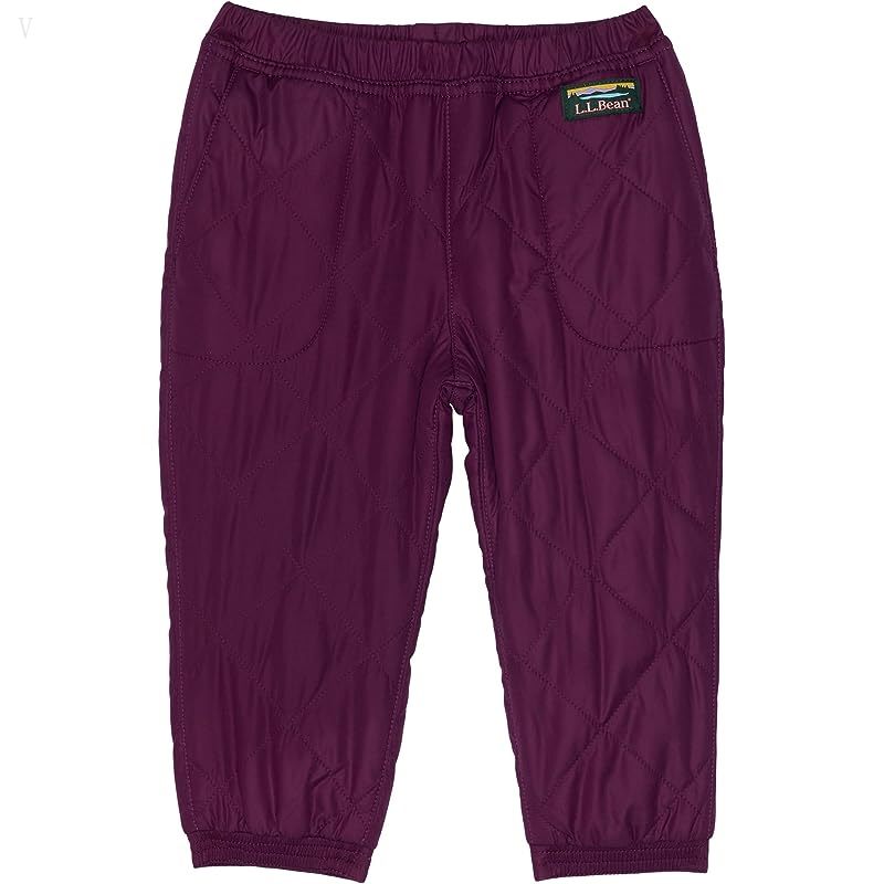 L.L.Bean Mountain Bound Reversible Pants (Toddler) Plum Grape/Magenta Haze ID-IcTelFPL