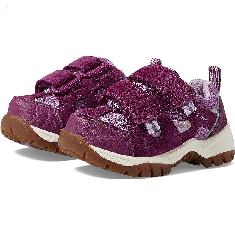 L.L.Bean Trail Model Low Hiker (Toddler) Violet Chalk/Purple Clover ID-gPfZxm7M
