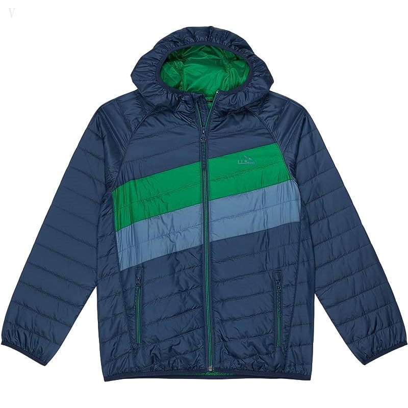 L.L.Bean Primaloft Packaway Hooded Color-Block Jacket (Big Kids) Collegiate Blue/Lawn Green ID-hxPKXzt1