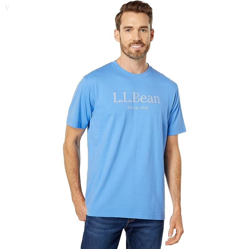 L.L.Bean Carefree Unshrinkable Tee without Pocket Short Sleeve Logo Arctic Blue/Chelt Logo ID-rgmAfmLI