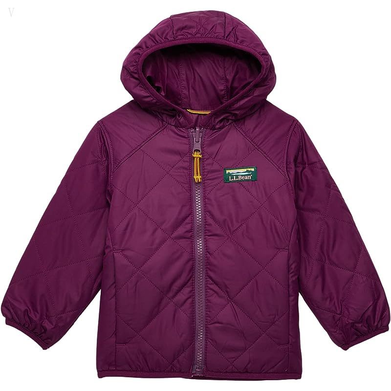 L.L.Bean Mountain Bound Reversible Hooded Jacket (Infant) Plum Grape/Magenta Haze ID-tbnvadUj